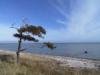Eines der vielen Gesichter der schönen Urlaubsinsel Ærø.
