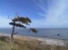 Eines der vielen Gesichter der schönen Urlaubsinsel Ærø.