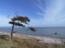 Eines der vielen Gesichter der schönen Urlaubsinsel Ærø.