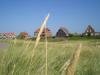 Westseite der Insel Baltrum