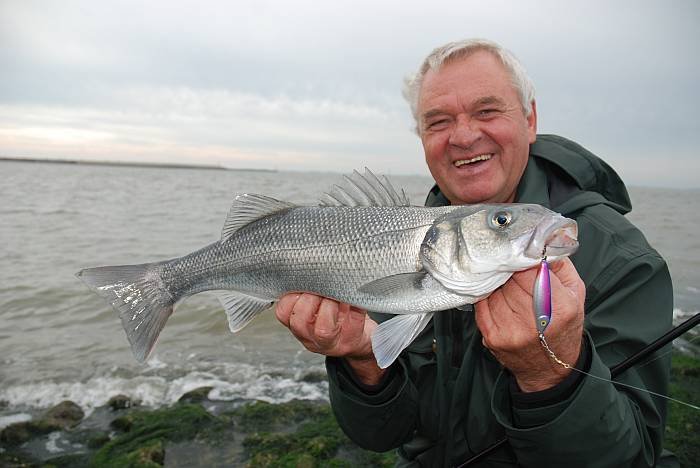 Horst Hennings mit Wolfsbarsch    Foto / Fisch & Fang