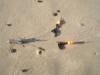 Krallenblei und Lockperlen, Vorfach für Plattfische