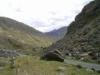 Caragh Glen