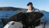 Perfekter Fisch bei perfekten Wetter! Jederzeit möglich im Traumrevier vor Mehamn