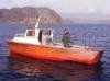 Dieselboot 26 Fuß mit 35 PS Innenbordmotor. Ein Farbecholot und ein GPS/Kartenplotter sind an Bord