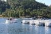 Die Steganlage mit der Dieselboot-Flotte