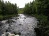 Stromschnellen am Lachsfluss Enningdalselva