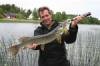 Im Flachwasserbereich auf Spinnerbait