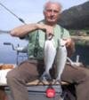 Fische, Fische, Fische...