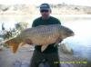 Wallerfischen am Ebro
