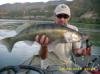 Wallerfischen am Ebro