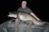 Zwischen 175 cm und 220 cm lang waren die insgesamt fünf Waller in nur einer Ebro-Nacht im Mai 2012.