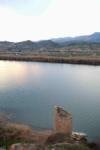 Wallerfischen am Ebro