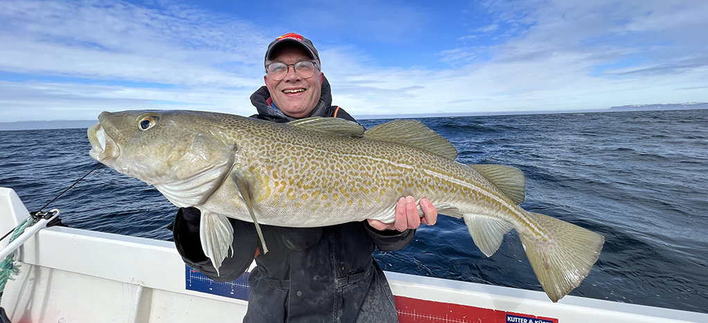 Dicker Islanddorsch! Dicker Islanddorsch!