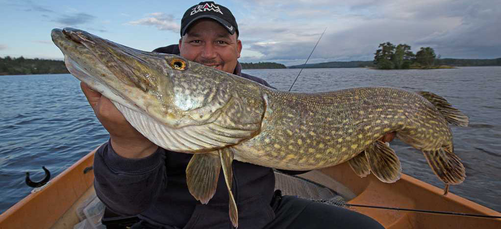 Südnorwegen Hecht! Südnorwegen Hecht!