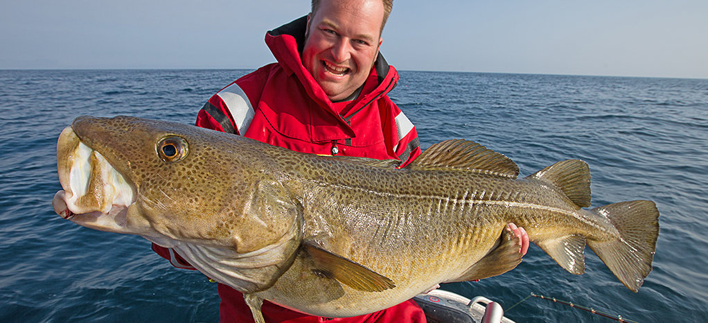  Patrick Schäfer mit Dickdorsch zwischen Andøya und Senja in Nordnorwegen. 