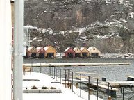 Schneeglöckchen Weißröckchen