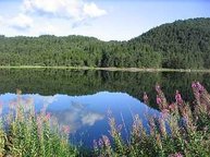 Landschaftlich ist der Sognefjord ein Traum