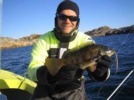 Lippfisch auf Pilker; in Südnorwegen ist alles möglich! Lippfisch auf Pilker; in Südnorwegen ist alles möglich!