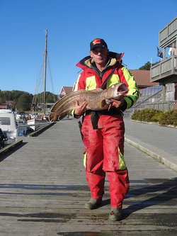 Fang des Tages: Lumb 94 cm, 7,46 kg beim Angelfestival in Tregde / Südnorwegen
