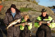 2. Tag: Familienbande mit Pollack-Trio