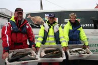 3. Tag: Kistenweise Fisch!!!