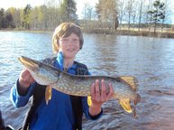 Bei wunderschönem Wetter bissen wunderschöne Fische