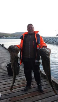 10-Kilo-Standarddorsche 10-Kilo-Standarddorsche