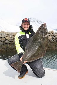 Angelguide Julius in Flateyri - Der erste Butt der Saison 15kg, 1,12m Länge
