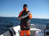 Kapitaler Schellfisch