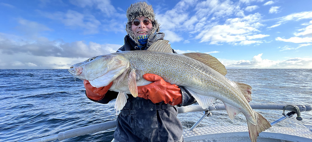  20-Kilo-Skrei bei einer Frühjahrstour in Vinjesjøen.  