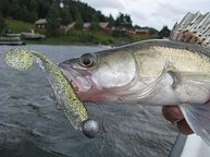 Die Farbe und Form der Gummifische ist oft entscheidend