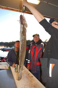 3. Tag: Wiegen der Fische 3. Tag: Wiegen der Fische