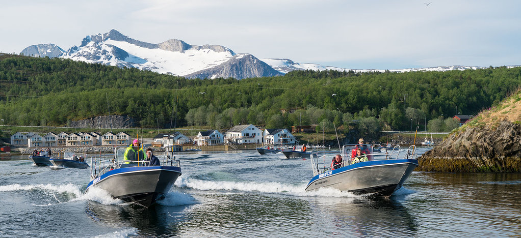 Top Anlage am größten Straumen der Welt - Saltstraumen Brygge!