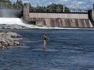 Fliegenfischen an der Staustufe