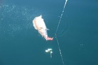 3. Tag: Unsere Montagen bringen die ersten Erfolge 3. Tag: Unsere Montagen bringen die ersten Erfolge