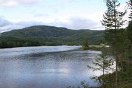 Der Fluss Numedalslågen an einer breiteren Stelle