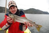 Das gezielte Fischen auf Mefo`s im Frühjahr bei Kap Lindesnes klappt sehr gut
