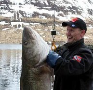 Unser Guide Robert mit Dorsch von mehr als 20 kg in Sudureyri