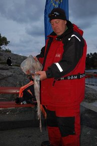 2. Tag: Leckerer Beifang- Kalmar auf Pilker
