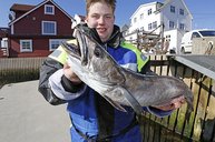 2. Tag: Martin Menze mit schönem Seehecht 2. Tag: Martin Menze mit schönem Seehecht