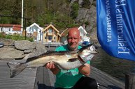 4. Tag: Der Fisch des Tages 4. Tag: Der Fisch des Tages