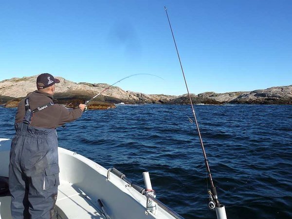 2. Tag: Pollackfischen an den Schäreninseln