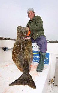 Heilbutt von 31kg und 1,40m Länge aus Sudureyri Mitte Mai 2009