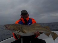 Der Fisch des Tages Der Fisch des Tages