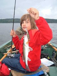 Ein Zander auf Wobbler