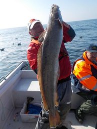 Frank the Leng - 17 kg Fisch Frank the Leng - 17 kg Fisch