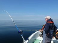 3. Tag: Kaiserwetter in Südnorwegen mit spiegelglatter See 3. Tag: Kaiserwetter in Südnorwegen mit spiegelglatter See