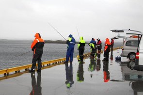 2. und 3. Tag: wegen schlechten Wetters wird der Cup in Frøyas Hafen verlegt.