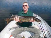 Unsere Hecht-Angelreise zum Steinsfjord